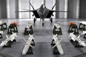 ����܊����(y��ng)��